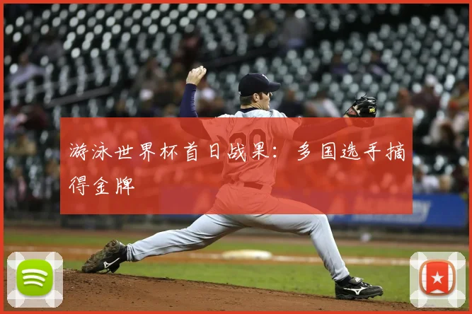 游泳世界杯首日战果:多国选手摘得金牌