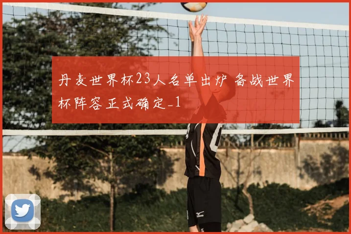 丹麦世界杯23人名单出炉 备战世界杯阵容正式确定_1