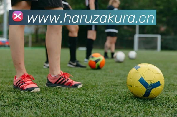 mksports官网登录入口平台生态图