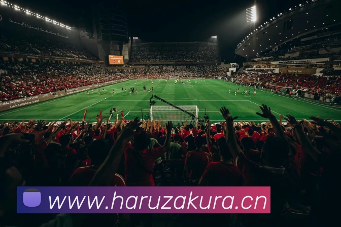 mksports官网登录入口APP 封面图