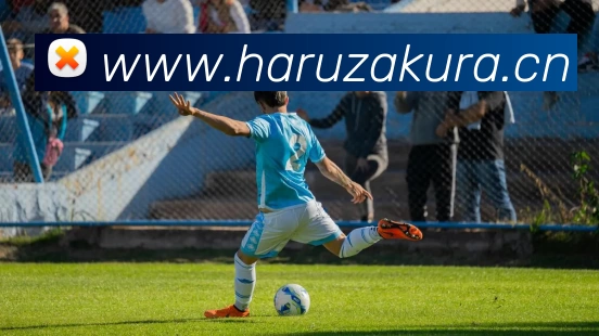 辅助工具 辅助工具